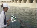 los delfines apoyan al Teletón 2009