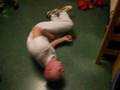 videos de SUNY Maritime Sack Tap