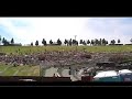 Sasquatch Festival 2008 Hill Time Lapse Sasquatch Festival 2008 Hill Time Lapse
