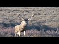 Traveling with Sneb - Kevin Maughan & November Bucks I