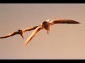 po�me de jack harris sur une musique de b. mc katy

illusions

comme il fait bon fl�ner sur la plage d�serte
lorsque les vents d'automne apportent la fra�cheur
et que sous la mar�e la rive est d�couverte
laissant un sable humide aux pieds du promeneur.

je go�te � cet instant qui m'appara�t magique
quand j'emplis mes poumons d'un air iod� et pur,
si jamais mon regard se perd sur l'atlantique
je crois y discerner au lointain un vapeur,

or je dois d�chanter, c'�tait une illusion
provoqu�e simplement par mon esprit fi�vreux
qui r�ve constamment lorsqu'il voit l'horizon,
mais cela ne fait rien puisque je suis heureux.

extrait de l'ouvrage de jack harris : 