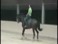 uphill paard