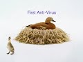 Telus - ducks