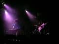Abyssinian - Night Scope