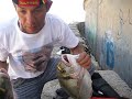 RAUL-DORADA-PESCA-SU