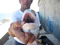 RAUL-DORADA-PESCA-SU