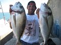 RAUL-DORADA-PESCA-SU