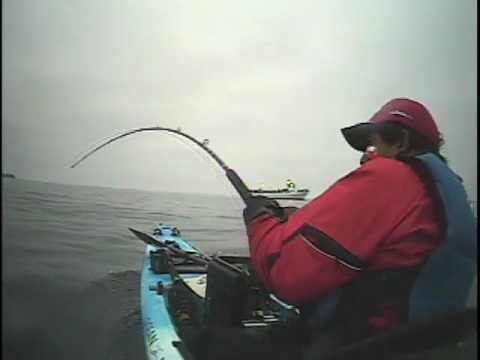 Double WSB Released One by johnnyceviche