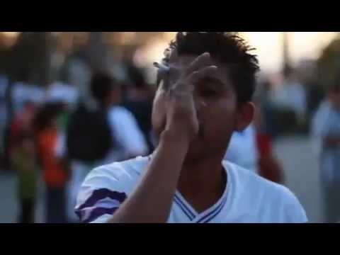 TOROS CELAYA -