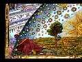 A Universal Dream - Part 1 -  Jungian Dream Interpretation