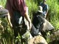 Expedition of Rimba Candi (1).wmv