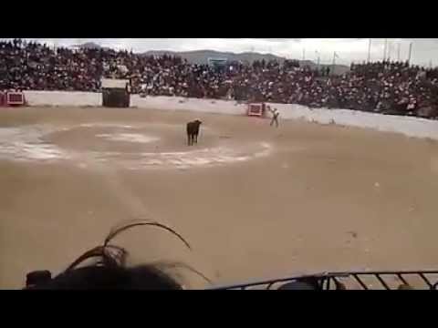 Puno: toro saltó hacia tribuna de espectadores durante corrida