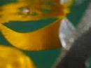 videos voile