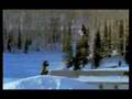 Filippo Kratter Burton Tour '06 ... www.cavalcalonda.com ...