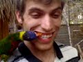 Un dentiste particulier