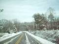 March First Snow Fall in SC II