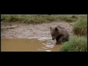 El Oso -  L' OURS - The Bear -- Best Scene