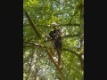 videos de Abschlusslager 4. Sek