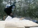 BFWDC : Zack Tailer video (MV)