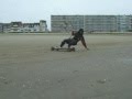 session 5 janvier