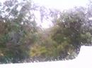 Slecht weer aan de Algarve Slecht weer aan de Algarve