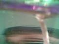 videos de Love's divine