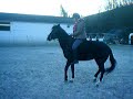 Cabrer du 27/12/2008