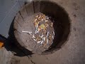 Cigarettes