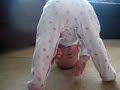 contortionist funny