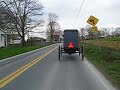 Le vendredi, petit arrêt chez les Amish,je suis une carriole qui roule environ 20 km h.