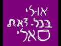 אולי בכל זאת סאלי - חמי רודנר - קאבר