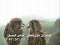 ملتقى ال حيان .. مناظر من جبال اب باليمن 2