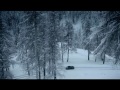 TV AUTO 28.01.2012
