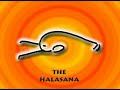 Yoga DVD Instruction for Hypertension