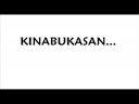 Callalily\