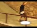 Zoo York State Of Mind Video Trailer