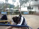 Estress pré regionais