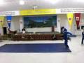 vovinam practice for thanksgiving performance 2008