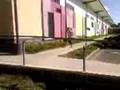 videos de school flip