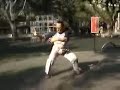 2nd section of Yang Taijiquan, big frame