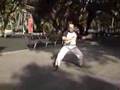2nd section of Yang Taijiquan, big frame