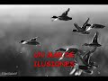 Enya \"only time\". LA AMISTAD EN MIPASADO