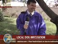 Dog Poops (Not Bird) In Reporters Mouth