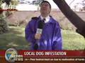 Dog Poops (not Bird) In Reporters Mouth