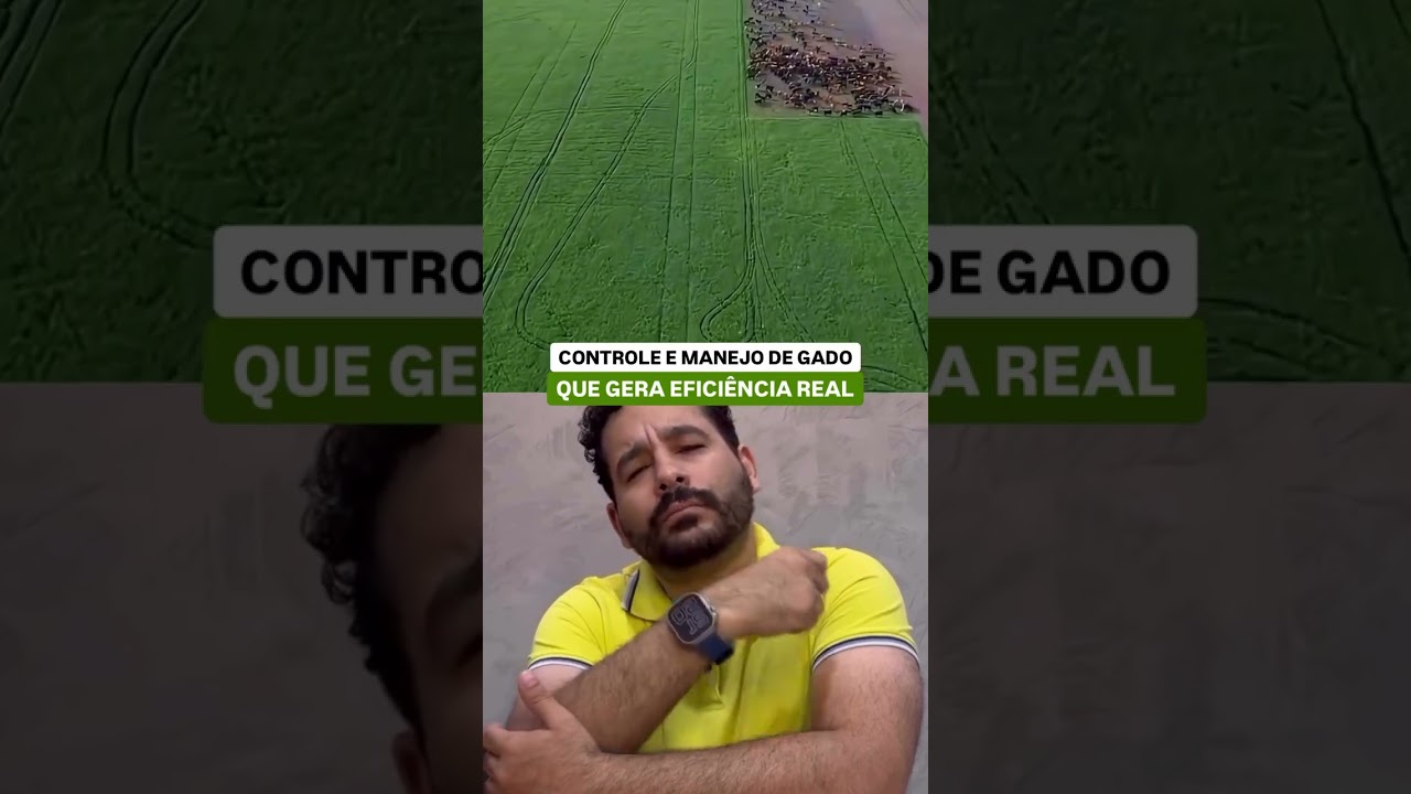 O segredo do gado mais produtivo 🐄🌱 #Agro #Pecuaria #Sustentabilidade
