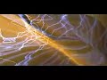 Noisia - Silicon Noisia - Silicon