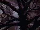 3 doors down   rurouni kenshin