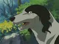 ginga densetu weed ginga densetu weed