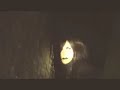 Strigoi Mort
