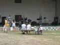 Assistir ao v�deo